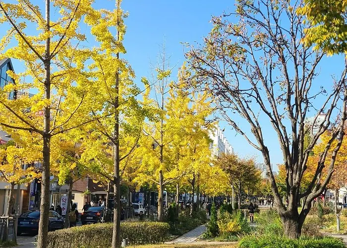 Wood House Hongik Univ 6 Double Beds 公寓 *