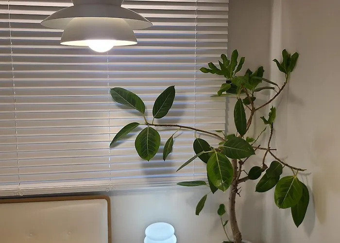 公寓 Wood House Hongik Univ 6 Double Beds